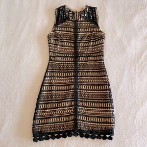 Francesca’s Lace Dress